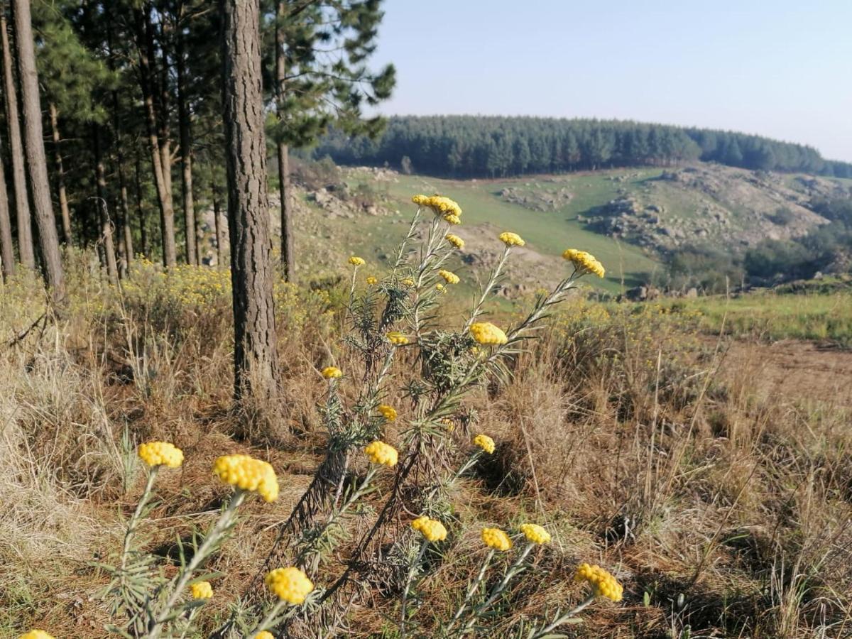 Rocks & Roses Farm Stay Lochiel Экстерьер фото