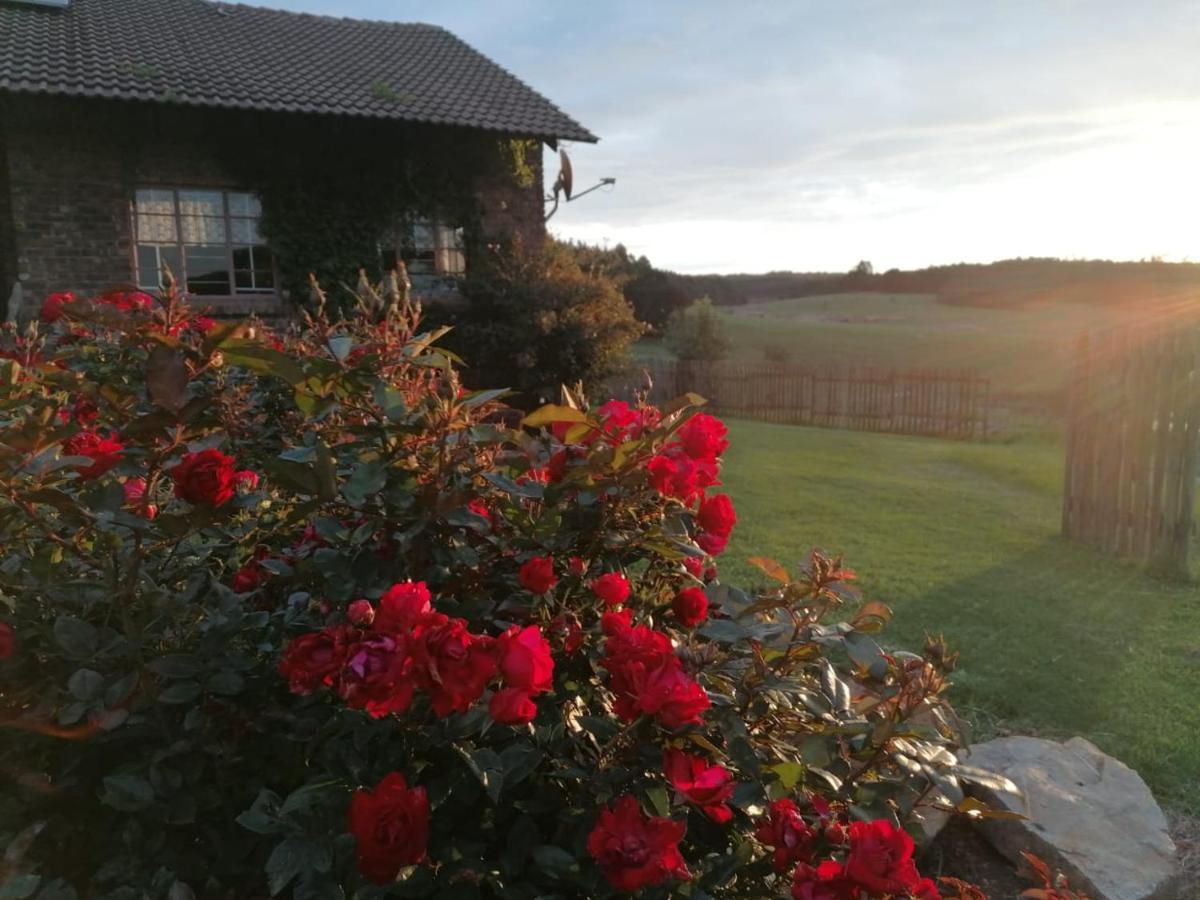 Rocks & Roses Farm Stay Lochiel Экстерьер фото