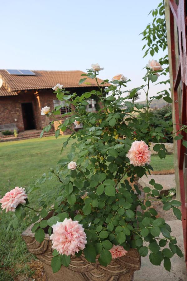Rocks & Roses Farm Stay Lochiel Экстерьер фото